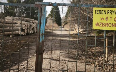 Glicko. Burmistrz umywa ręce. Inwestor wychodzi przed szereg.