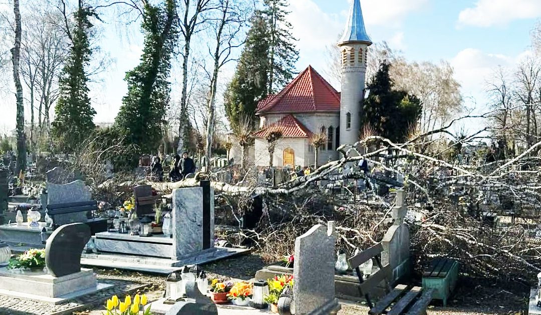 Wiatr wyrwał drzewo, które zniszczyło kilkanaście grobów na cmentarzu w Nowogardzie